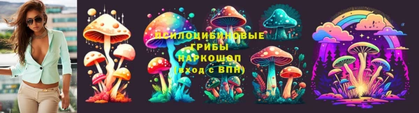 трава Новодвинск