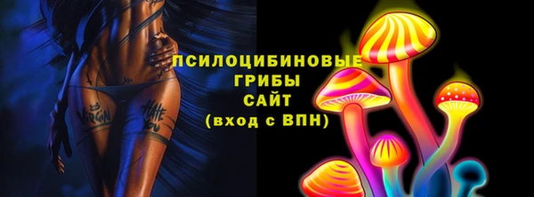 трава Новодвинск