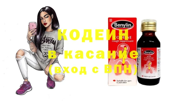 молекула духа Ельня