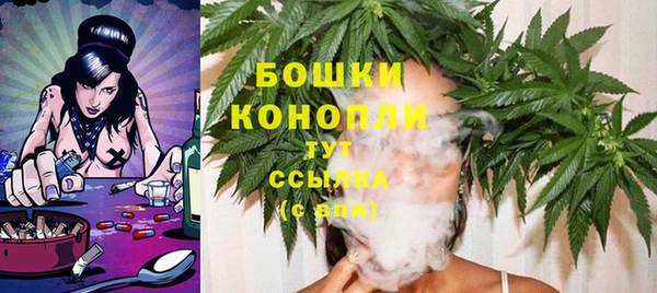 трава Новодвинск