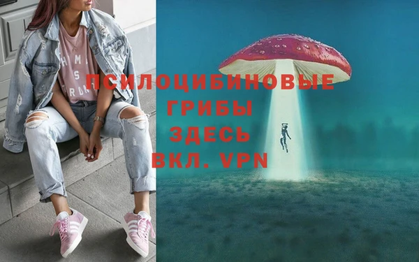 трава Новодвинск
