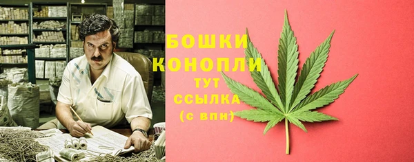 трава Новозыбков
