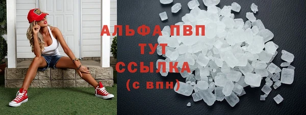 трава Новодвинск